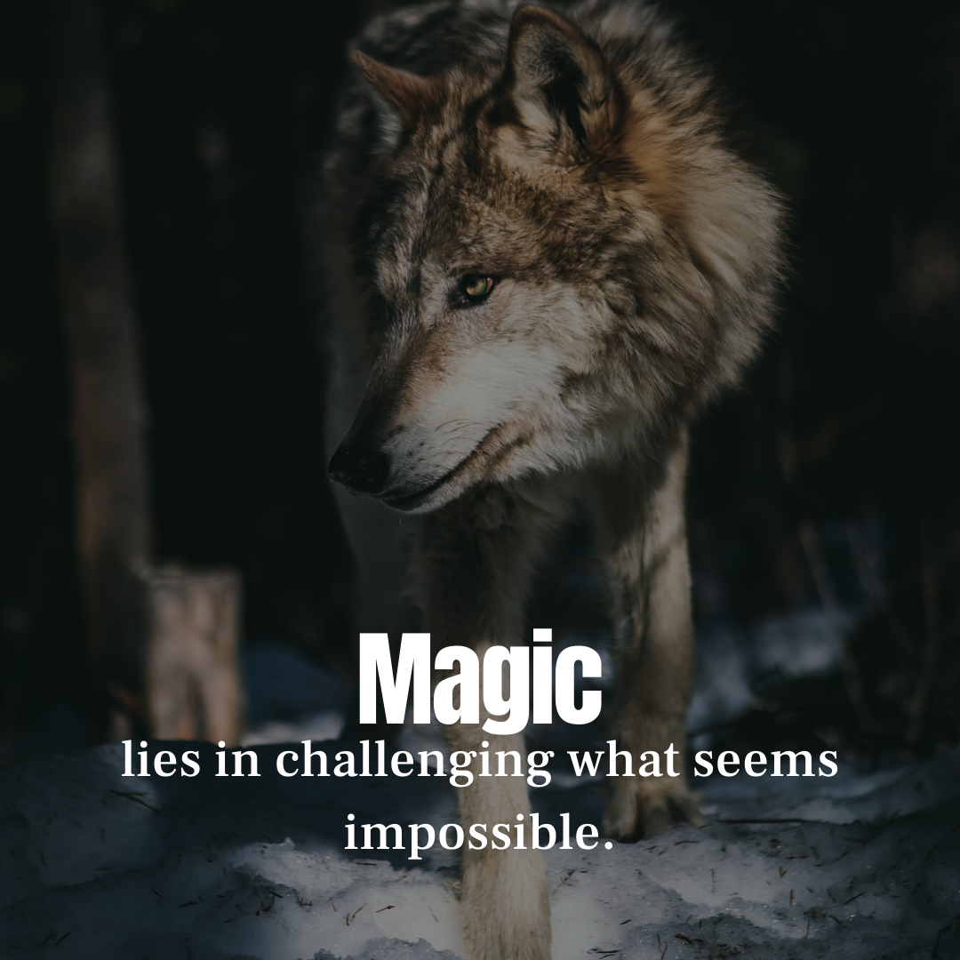 2020 Wolf Donations Update