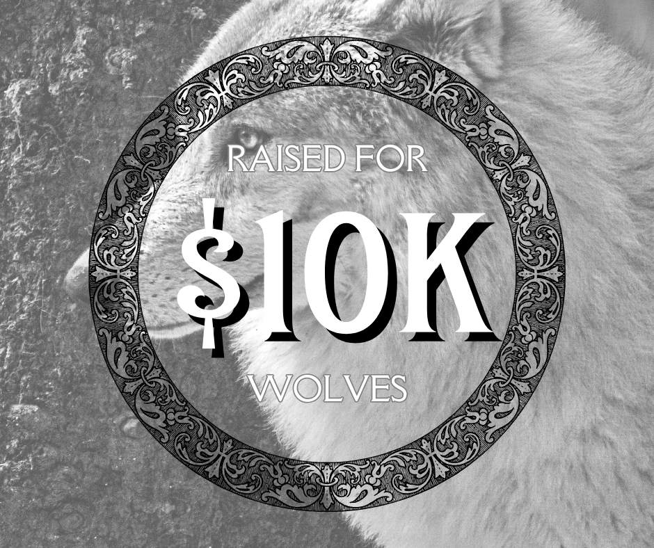 Wolf Donation Update December 2025